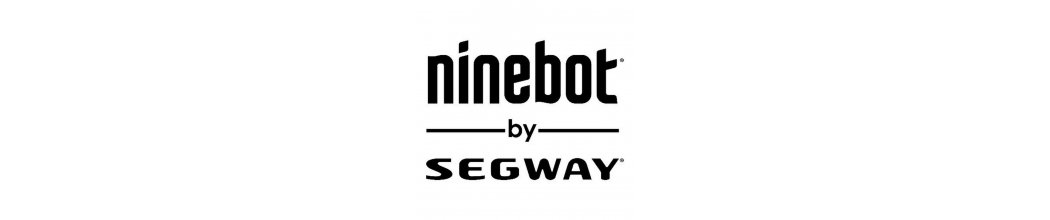 Recambios patinete Ninebot by Segway